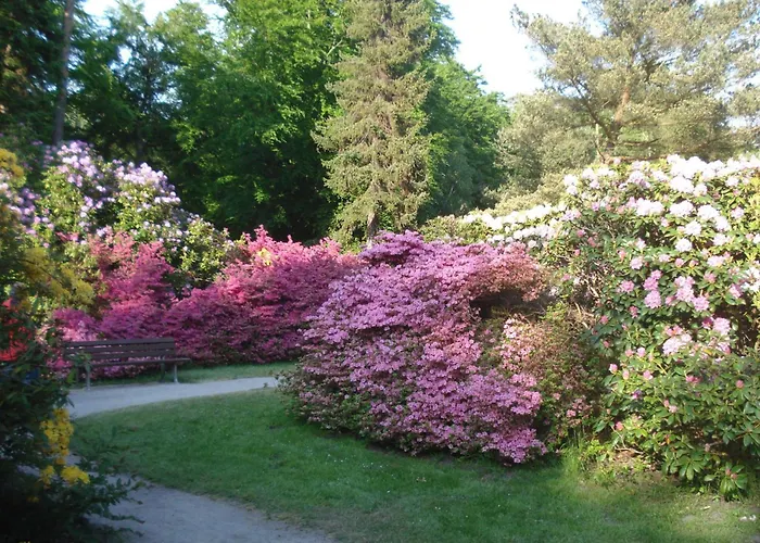 Kuestenwald - Borstels Kajuete Muritz